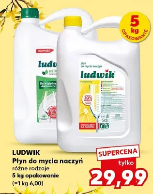 Płyn do mycia naczyń różne rodzaje 5 kg  promocja w Kaufland