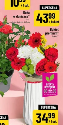 Bukiet premium promocja w POLOmarket