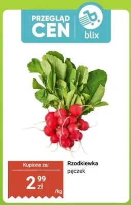 Rzodkiewka, pęczek promocja w Biedronka