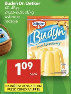 Budyń smak waniliowy promocja w Delikatesy Centrum