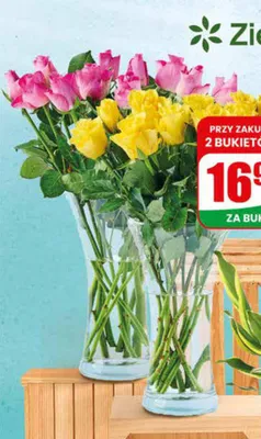 Róże wysokość 40cm 11 sztuk promocja w Dino