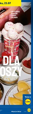 Lody w kubku Willisch o smaku pierogów z serem i malinami promocja w Lidl
