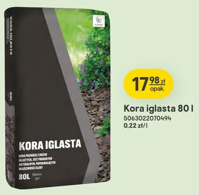 Kora iglasta 80 l promocja w Castorama