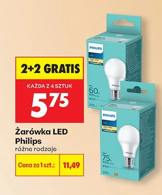Żarówka LED różne rodzaje promocja w Biedronka