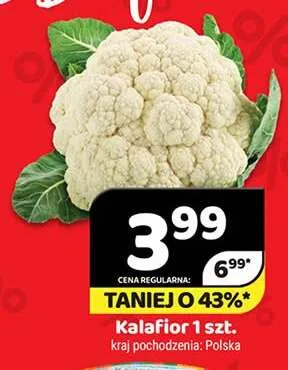 Kalafior świeży promocja w Delfin