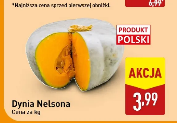 Dynia Nelsona promocja w Aldi