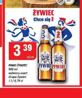 Piwo Żywiec promocja w Chorten
