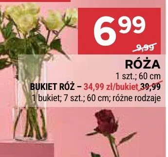 Bukiet róż promocja w Stokrotka
