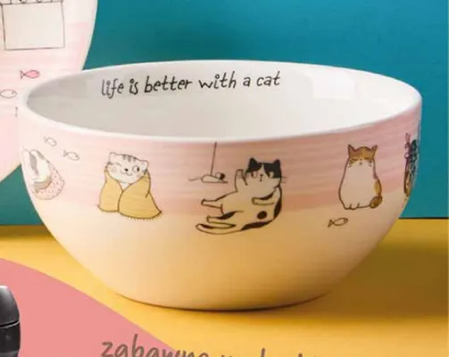 Miska 550 ml promocja w Biedronka