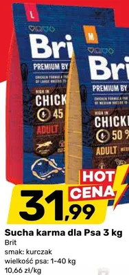 Sucha karma dla psa 3 kg promocja w Bricomarche