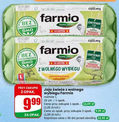 Jaja świeże z wolnego wybiegu rozmiar L promocja w Dino