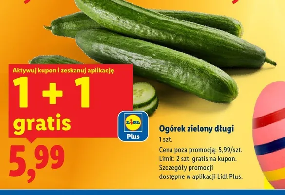 Ogórek zielony długi Lidl promocja w Lidl