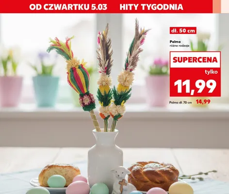 Palma 50 cm, różne rodzaje promocja w Kaufland