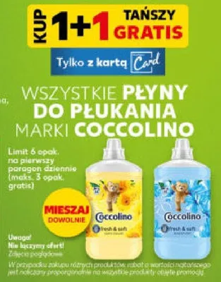 Płyn do płukania różne rodzaje promocja w Kaufland