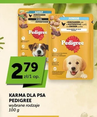 Karma dla psa Pedigree Adult z kurczakiem i warzywami w sosie promocja w Euro Sklep