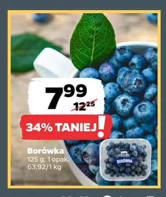 Borówka promocja w Netto