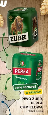 Piwo Żubr promocja w Stokrotka