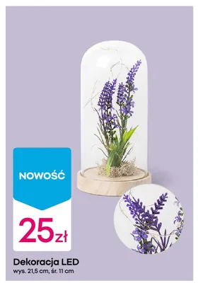 Dekoracja LED promocja w Pepco
