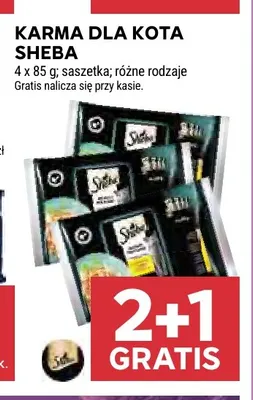 Karma dla kota Sheba promocja w Stokrotka