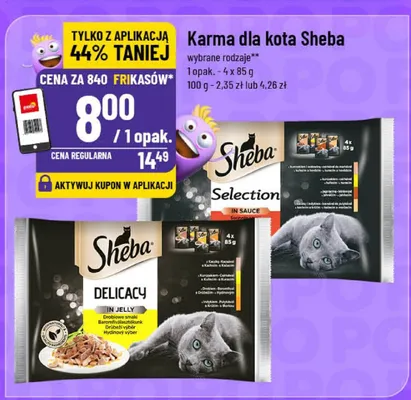 Karma dla kota Selection promocja w POLOmarket