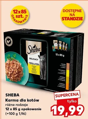 Karma dla kotów różne rodzaje 12 x 85 g  promocja w Kaufland