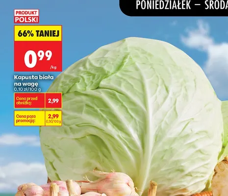Kapusta biała polska promocja w Biedronka