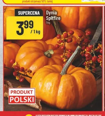 Dynia Spitfire promocja w POLOmarket