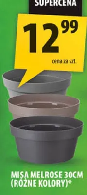 Misa melrose 30cm różne kolory promocja w Arhelan