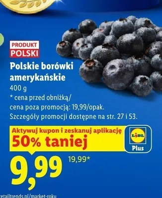 Borówki amerykańskie polskie promocja w Lidl