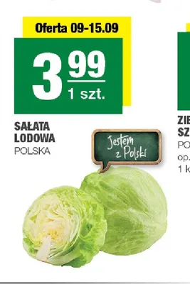Sałata lodowa polska promocja w SPAR