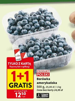 Borówka amerykańska promocja w Intermarche
