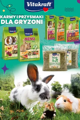 Gazetka, strona 13 promocja w Aquael zoo