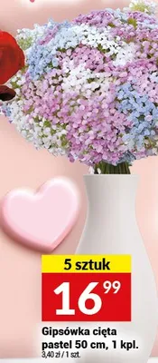 Gipsówka cięta pastel 50 cm, 1 kpl. promocja w Twój Market