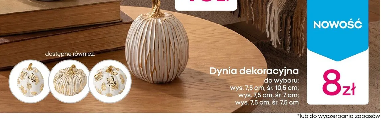 Dynia dekoracyjna promocja w Pepco