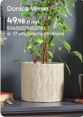 Donica Verve zielona struktura promocja w Castorama