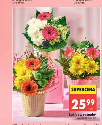 Bukiet w ratanie wysokość 28cm promocja w Biedronka