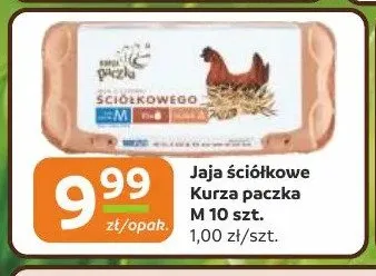 Jaja ściółkowe Kurza paczka M promocja w Gama