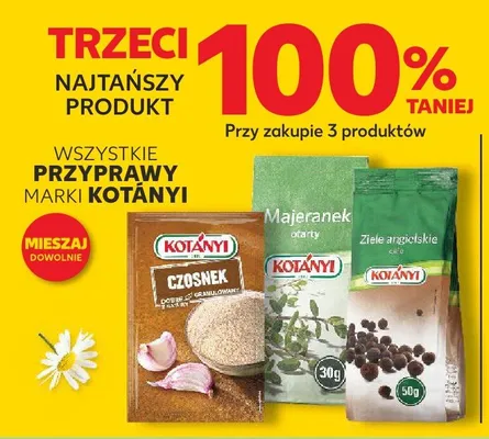 Przyprawy czosnek promocja w Kaufland