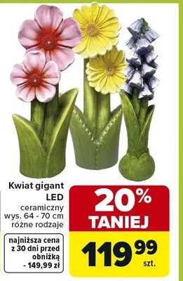 Kwiat gigant LED ceramiczny różne rodzaje promocja w Carrefour