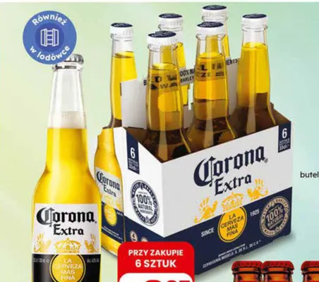 Piwo promocja w Dino