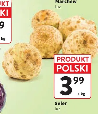 Seler promocja w Intermarche
