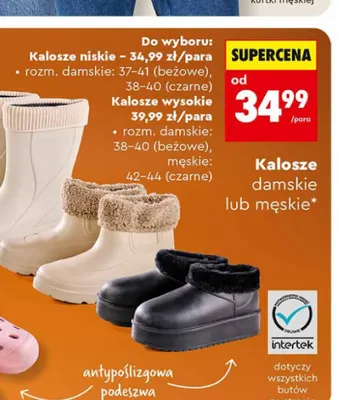 Kalosze wysokie Biedronka promocja w Biedronka