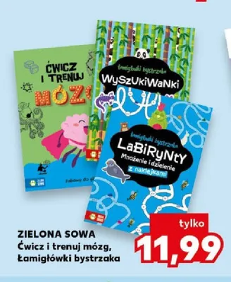 Książka Łamigłówki bystrzaka Labirynty Zielona Sowa promocja w Kaufland