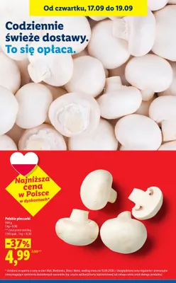 Pieczarki polskie promocja w Lidl