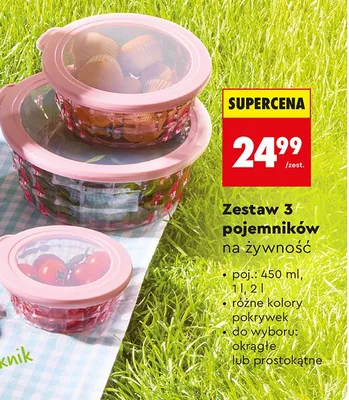 Zestaw 3 pojemników na żywność okrągłe promocja w Biedronka
