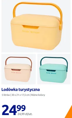 Lodówka turystyczna Arctic Breeze 5 l promocja w Action