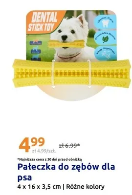 Pałeczka do zębów dla psa Dental Stick Toy 4x16x3,5cm promocja w Action