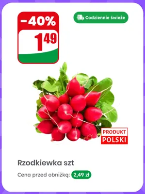 Rzodkiewka polska Dino promocja w Dino