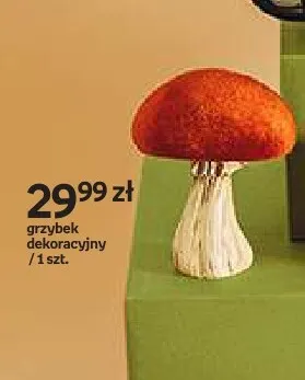 Grzybek dekoracyjny Hello Autumn promocja w Empik