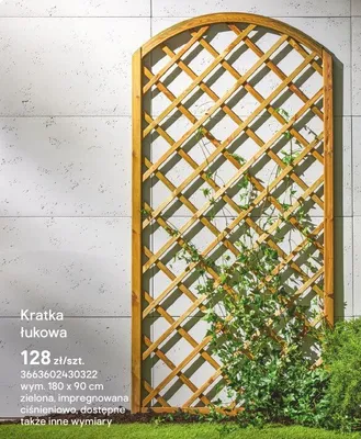 Kratka łukowa promocja w Castorama